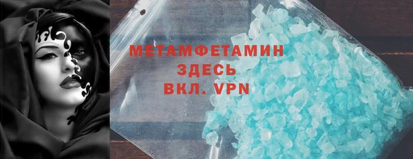 индика Мегион