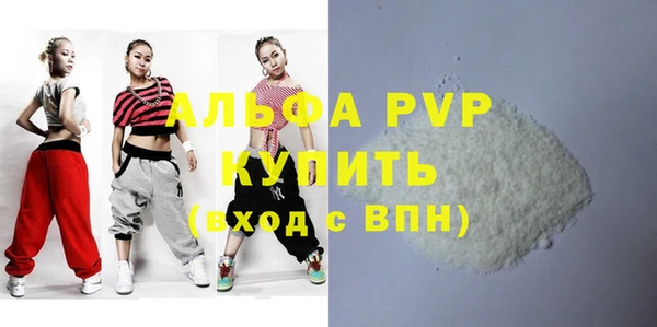 индика Мегион