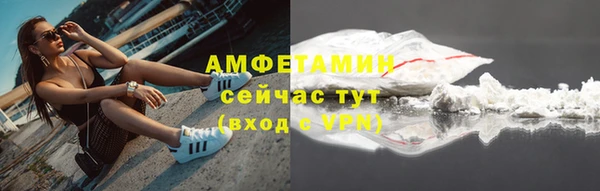 индика Мегион