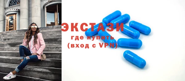 индика Мегион