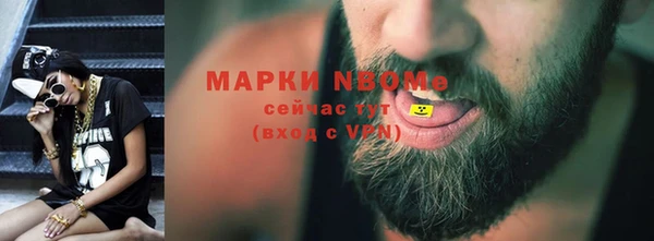 шишки Магас