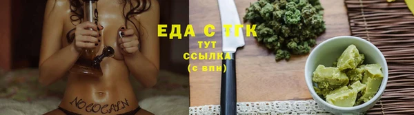 индика Мегион