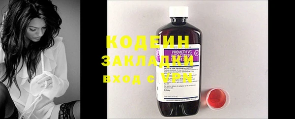индика Мегион