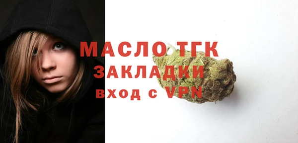 ECSTASY Богородицк