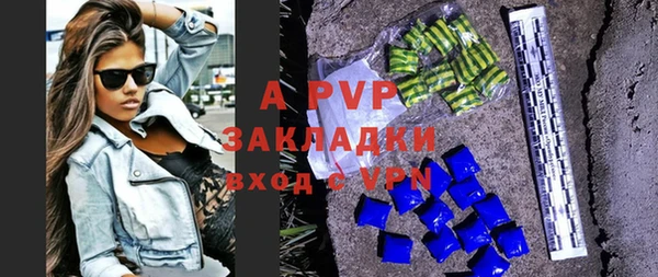 индика Мегион