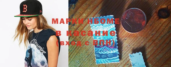 индика Мегион