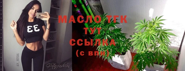 индика Мегион
