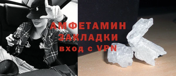 индика Мегион