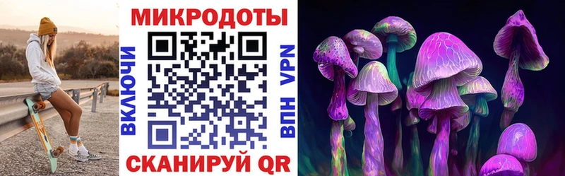 как найти закладки  Завитинск  мега зеркало  маркетплейс как зайти  Галлюциногенные грибы прущие грибы 